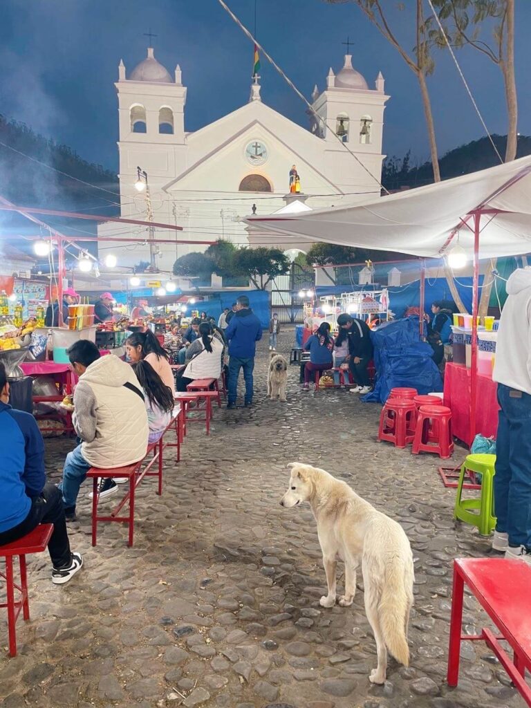 Night market 